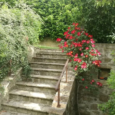 Colleparadiso Assisi