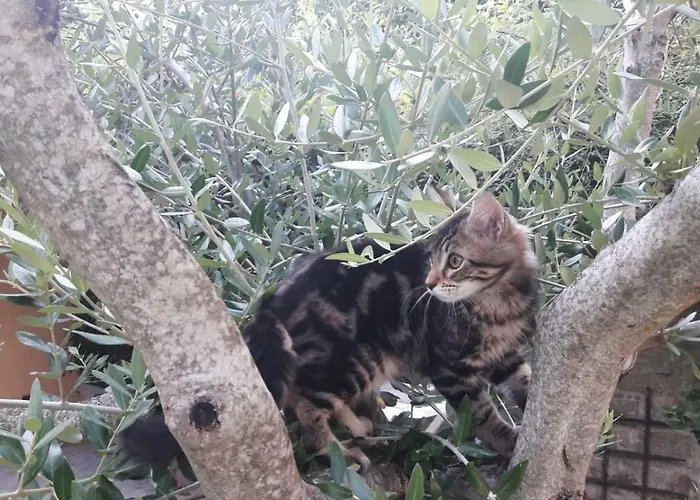 Colleparadiso Séjour à la ferme