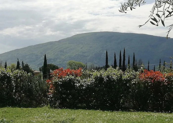 Alloggio per agriturismo Colleparadiso *